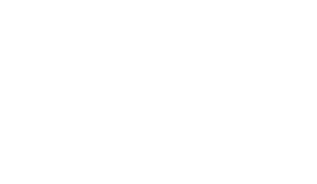 Logo for EmmaDB